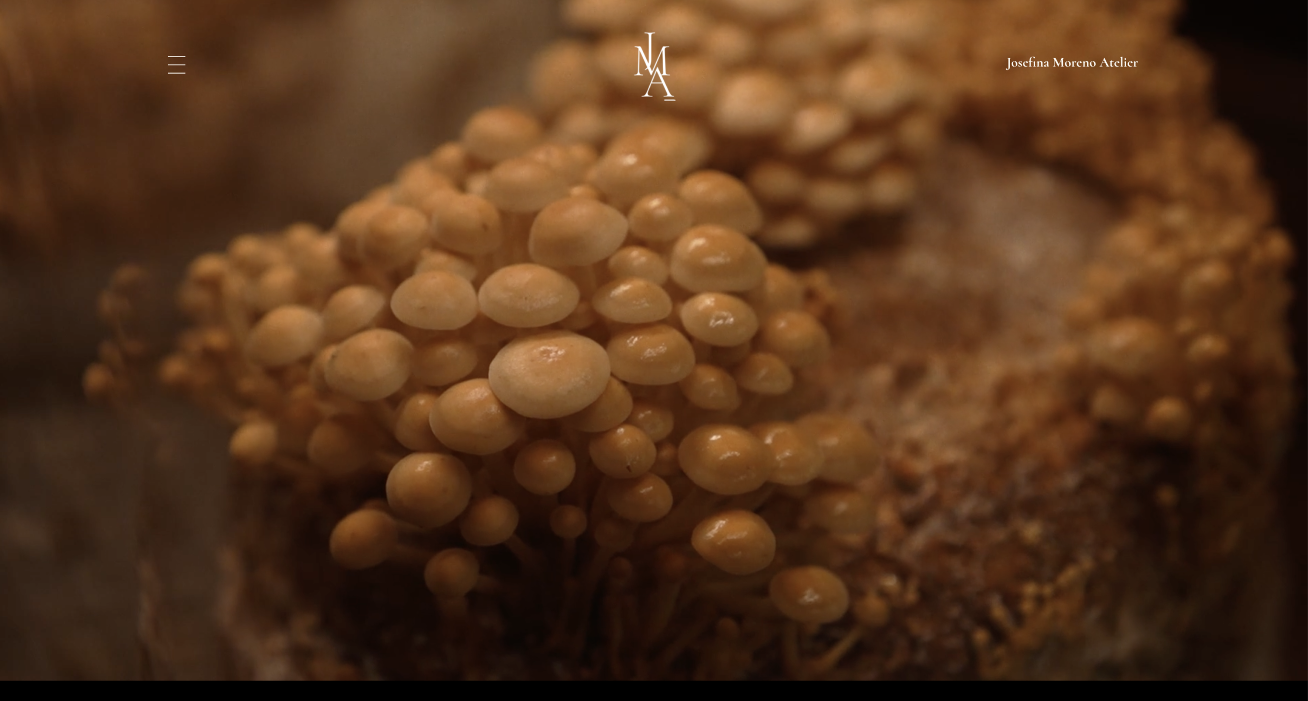 Josefina Moreno Atelier